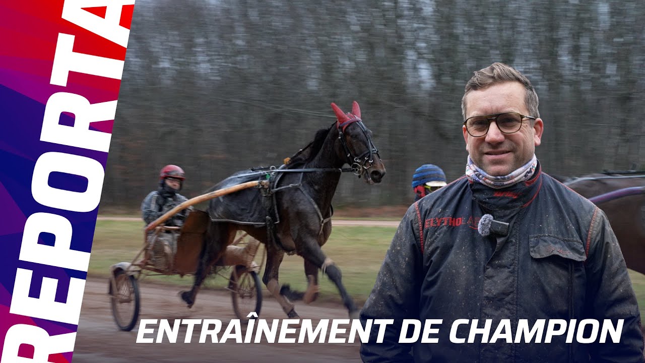 IDÉALE DU CHÊNE, EN ROUTE VERS LE PRIX DE CORNULIER (Gr.1) | Reportage chez Julien Le Mer