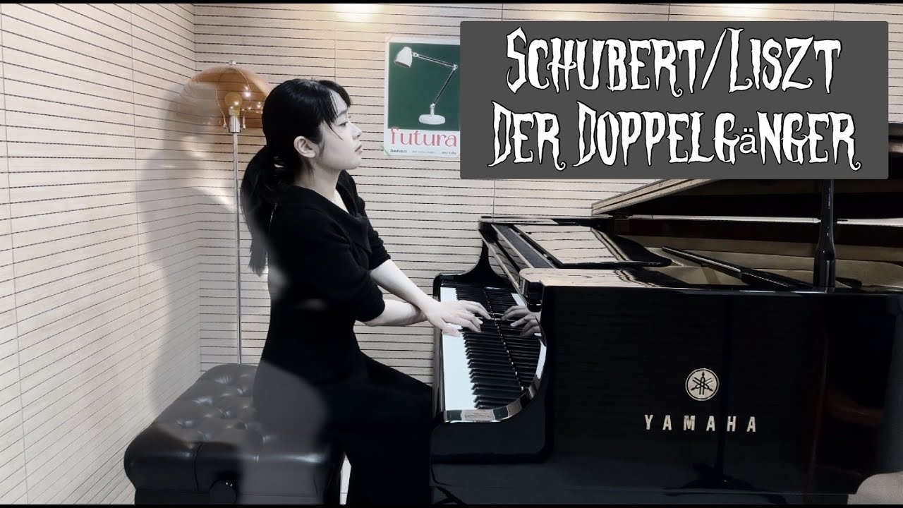 The Darkest Song by Schubert- Der Doppelgänger (arr. Liszt)