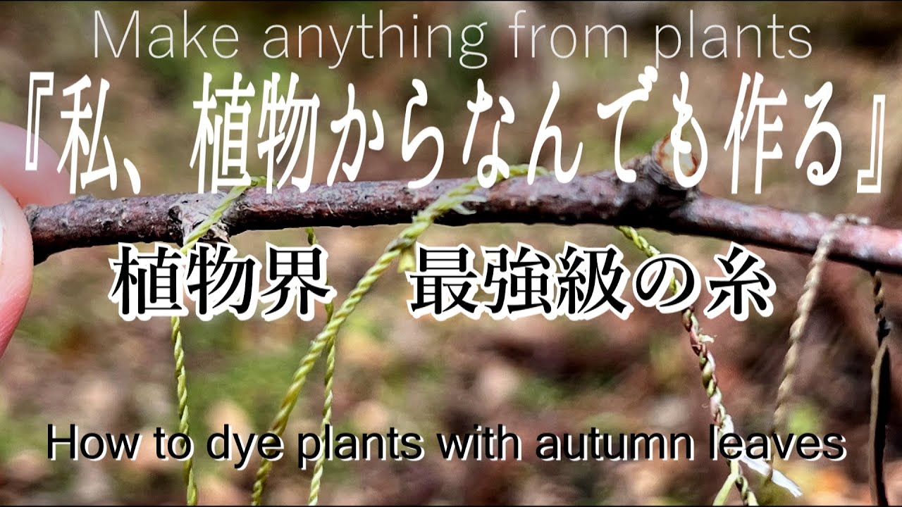 【サバイバル生活】植物から糸を作る。ムカゴイラクサの糸は強すぎる。