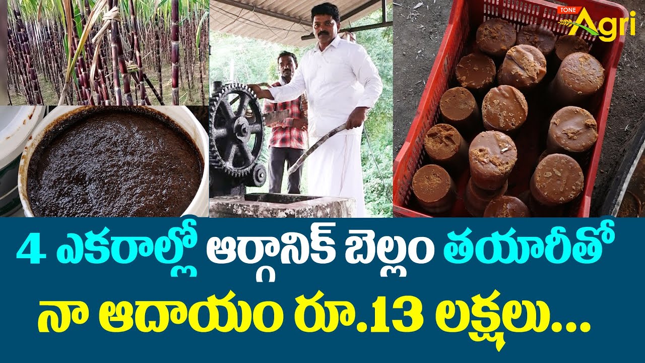 Bellam, Jaggery Making | 4 ఎకరాల్లో ఆర్గానిక్ బెల్లం తయారీతో నా ఆదాయం రూ.13 లక్షలు... Tone Agri
