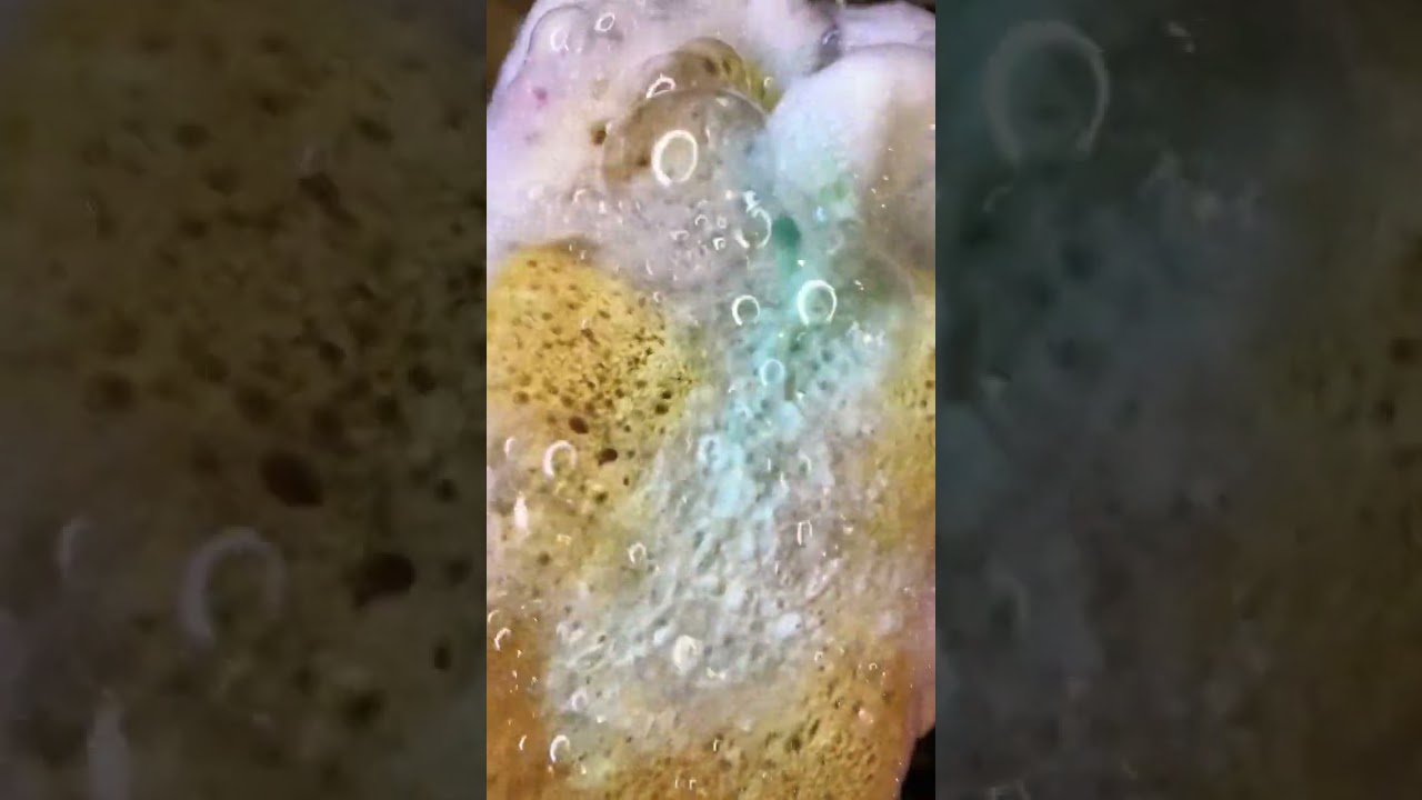 CLOSEUP OF BUBBLY SQUEEZES. Longer videos on my Channel - sponge ASMR