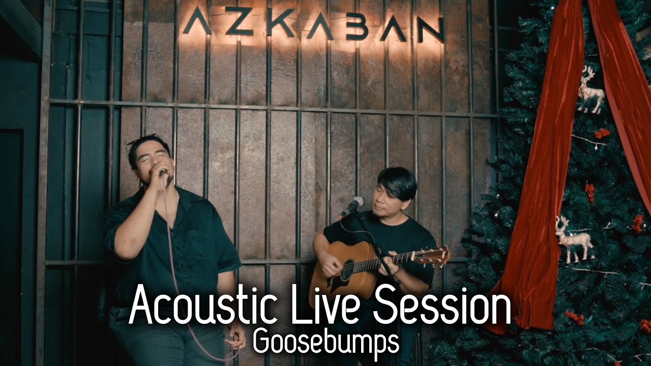 Acoustic Live Session (Cover) | Goosebumps โฟล์คซอง ดนตรีสด เปิดฟังทำงาน เปิดฟังขับรถชิวๆ