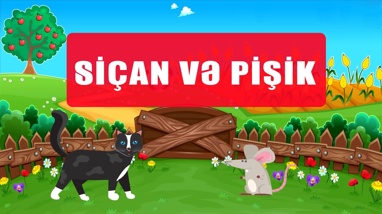 SİÇAN VƏ PİŞİK NAĞILI! UŞAQ NAĞILLARI! AZƏRBAYCAN DİLİNDƏ CİZGİ FİLMİ!