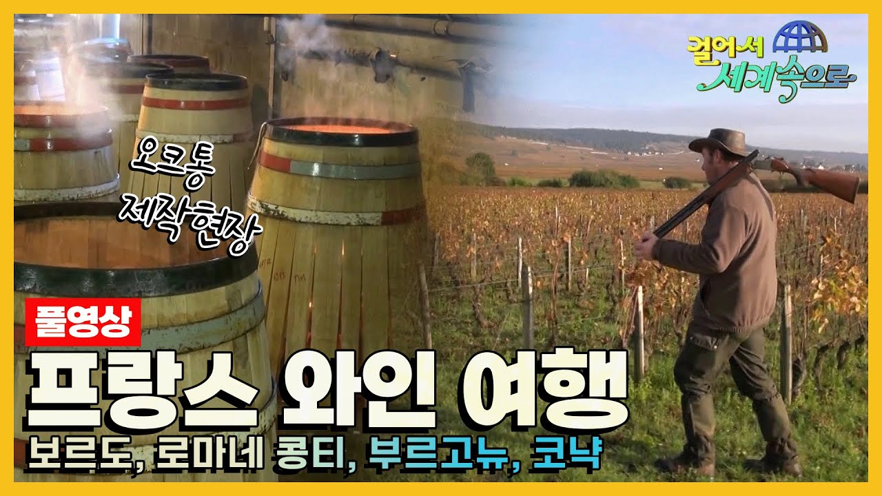 [#걸어서세계속으로Full📺] 프랑스 와인과 포도의 대표적 명산지를 찾아 떠나는 '프랑스 와인' 여행 Trip to France (KBS_20141129)
