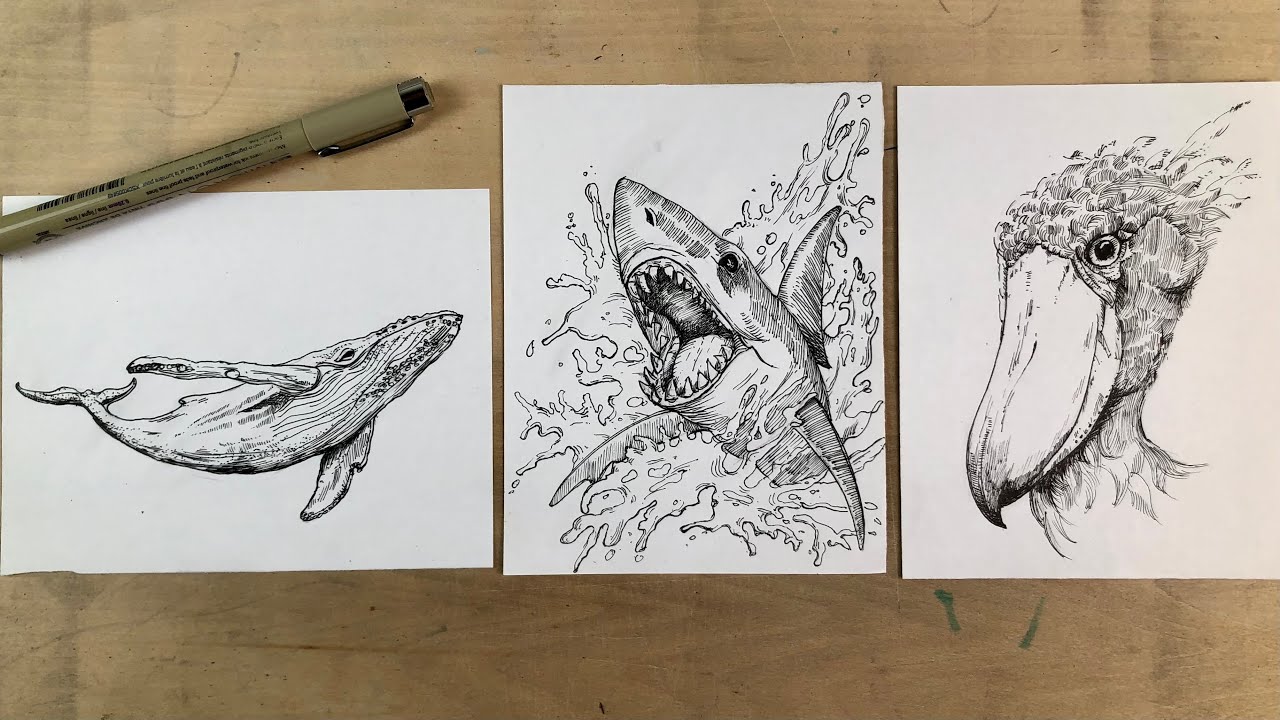 Live Replay ✍🏻 🐋 Ink Drawing Live: Shark & Whale Ocean Sketch Session | Pen Art Techniques
