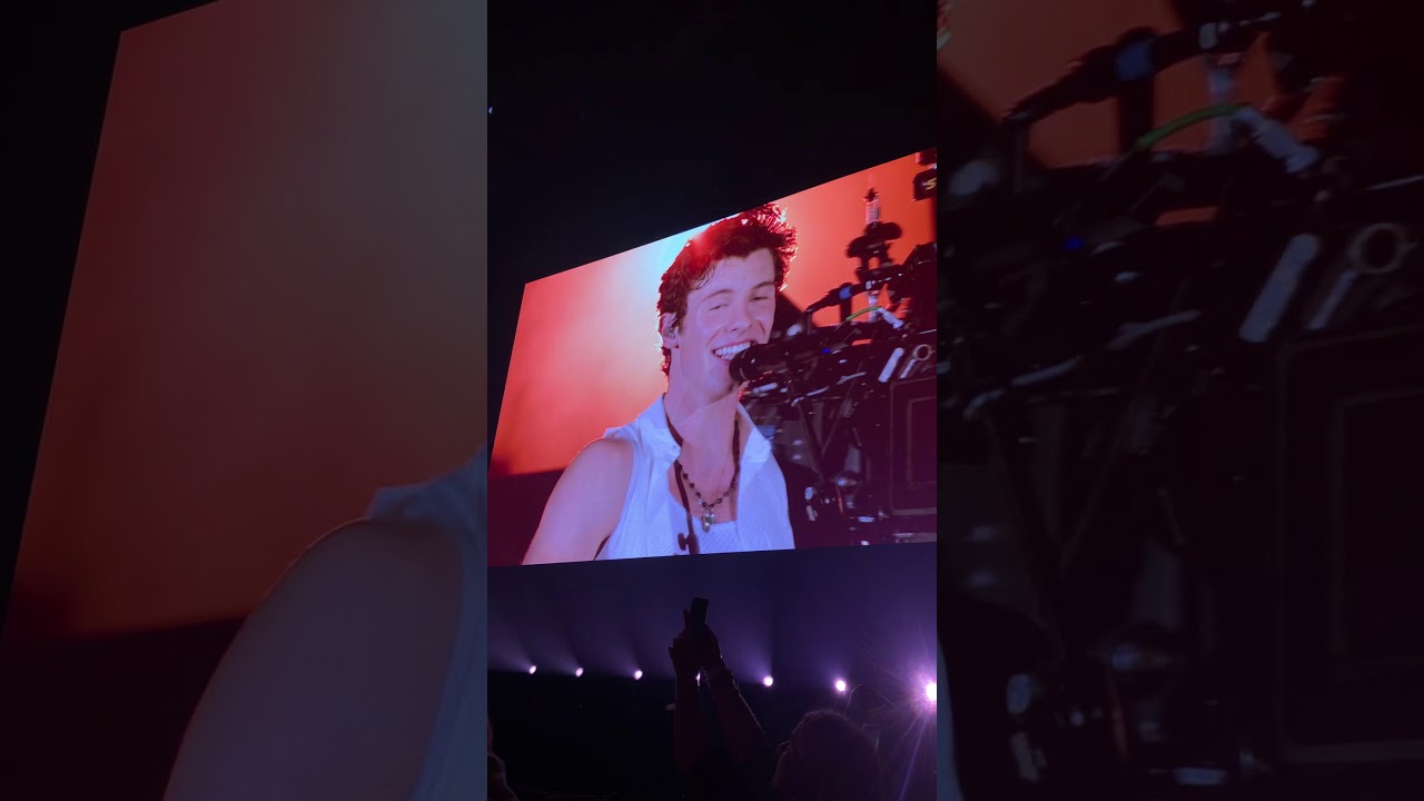Shawn Mendes and Camila Cabello performing live together at Rogers Centre