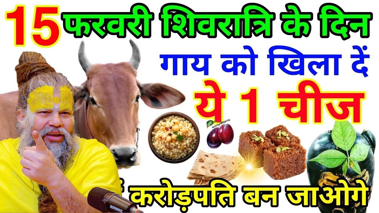 15 फरवरी महाशिवरात्रि के दिन चुपचाप गाय को खिला दें ये 1 गुप्त चीज करोड़पति बन जाओगे#premanandji