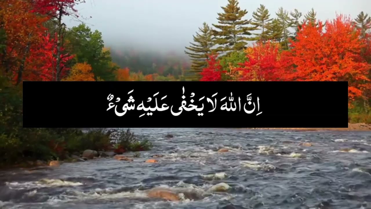 qaran video 