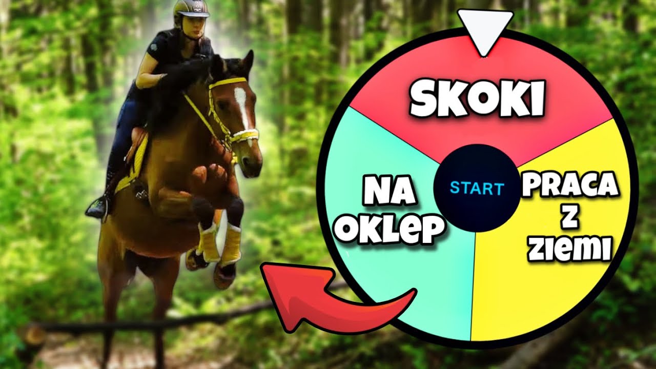 KOŁO FORTUNY DECYDUJE JAK SPĘDZAM DZIEŃ W STAJNI!