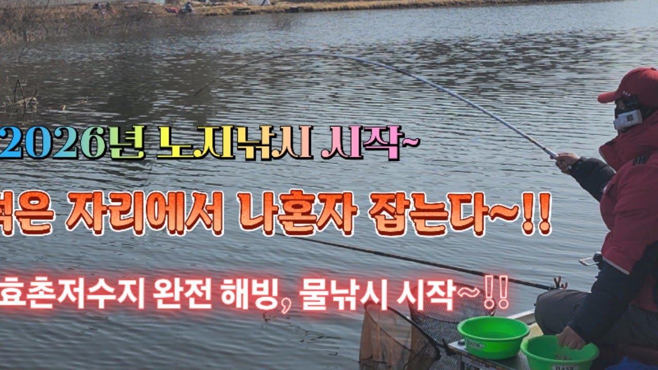 2년 동안 붕어가 나오질 않던 썩은 자리에서 나혼자 잡는다~신난다~!! 효촌저수지 해빙 노지 시작~!!#중앙어수라 #초계찌 #거북선대왕좌대 