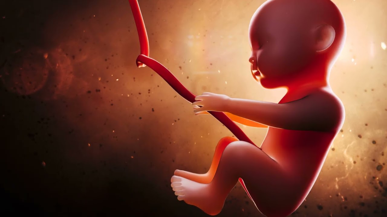 How Human S*x is Determined From Conception