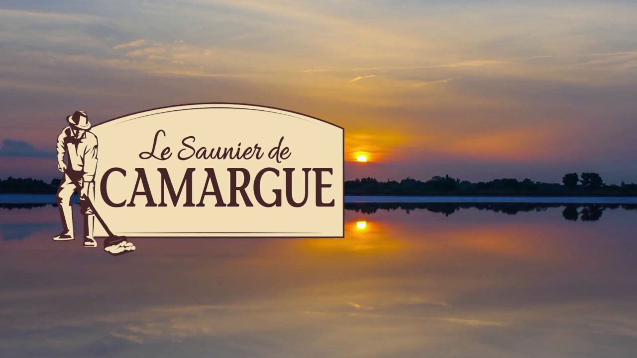 La récolte du sel en Camargue