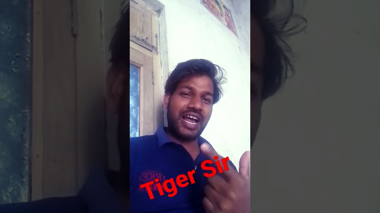 tiger sir