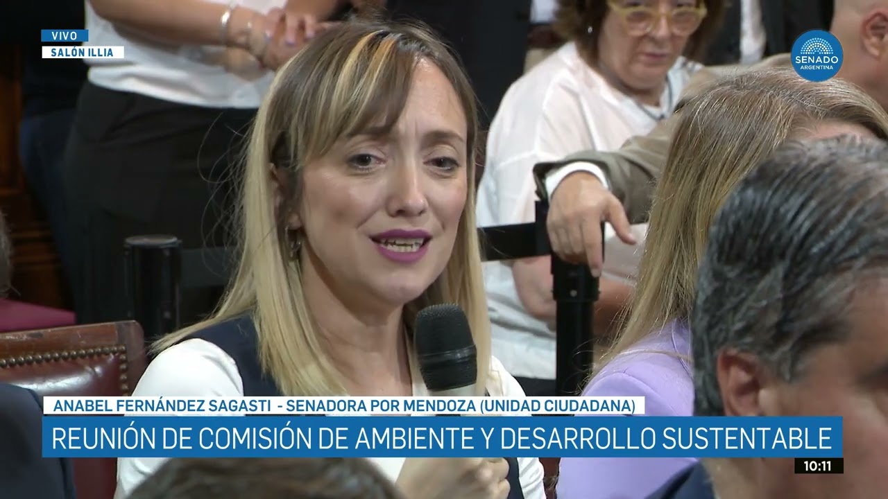 SENADORA ANABEL FERNÁNDEZ SAGASTI - COMISIÓN DE AMBIENTE Y DESARROLLO 17-12-25