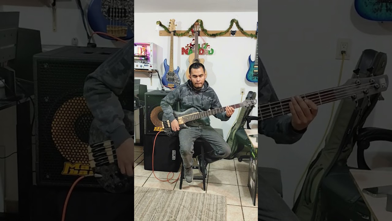 “Ibanez SRSC 805 Review 🔥 ¿Vale la pena este bajo de 5 cuerdas para afinaciones graves?”