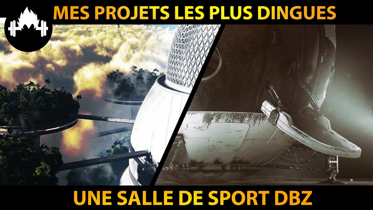 Je vais créer une salle de sport DRAGON BALL Z !