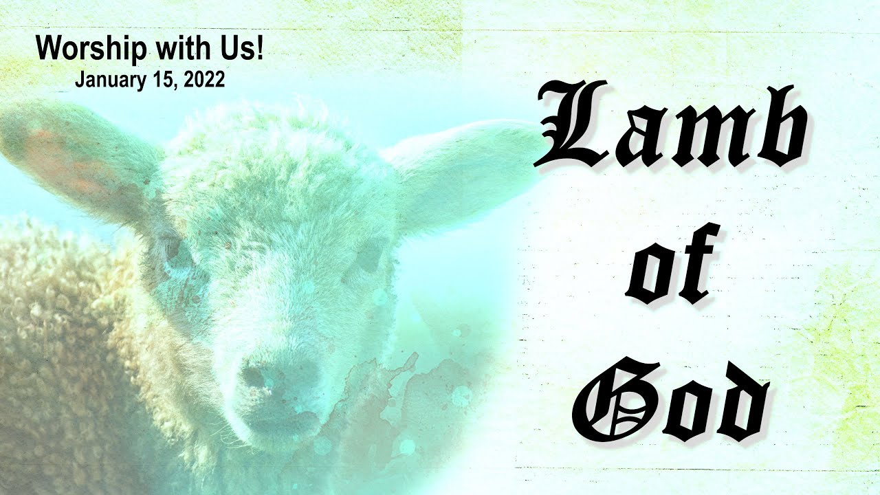 Lamb of God.  You take away the sin of the world.  Worship with Holy Love.