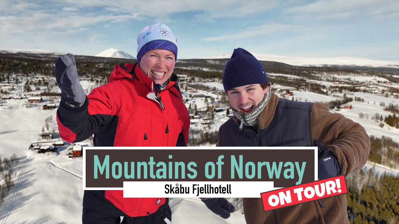 Is this the FRIENDLIEST wildsheep in Norway? | Mountains of Norway on Tour