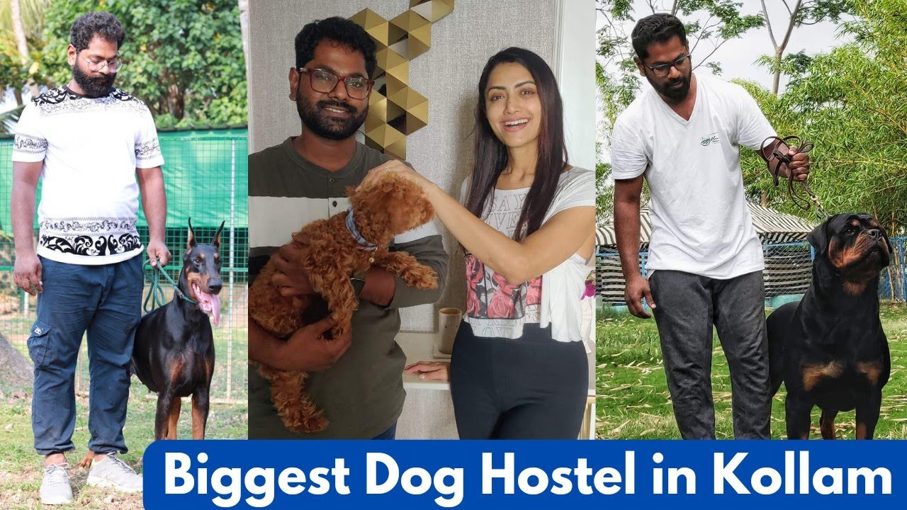 സിനിമ താരങ്ങളുടെ ഡോഗ്സ് ഈ കെന്നലിലാണ്|Wolf Haven Kennel& Dog Boarding in kollam Kerala