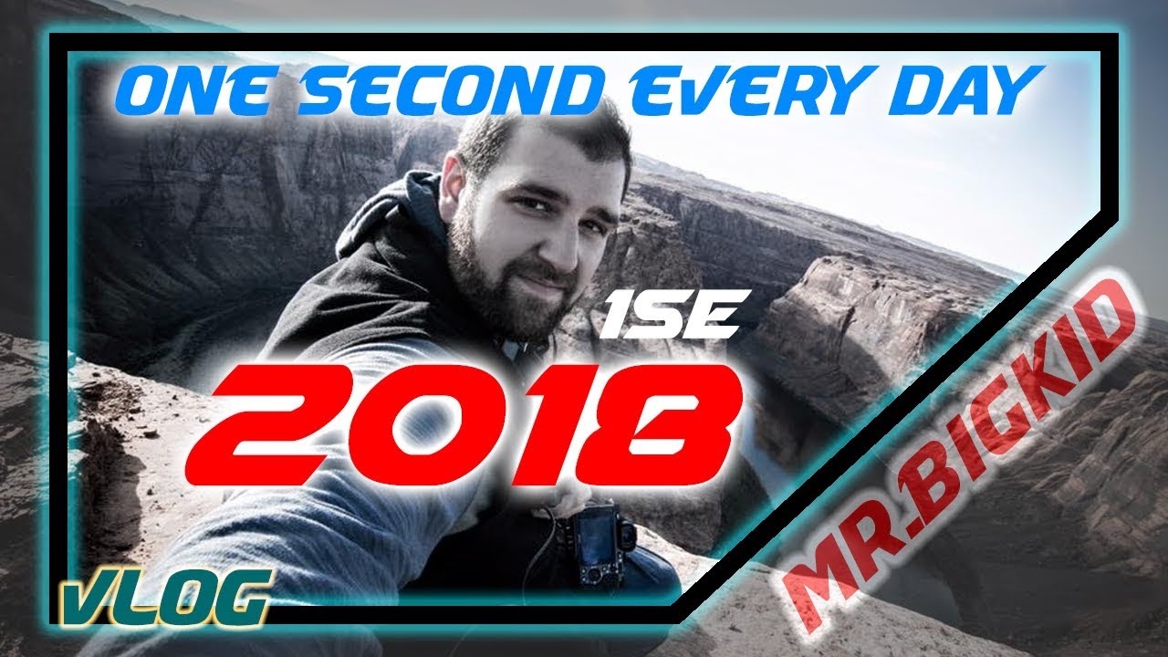 1SE | 1 Second Every Day 2018 | The Life of MrBigKid