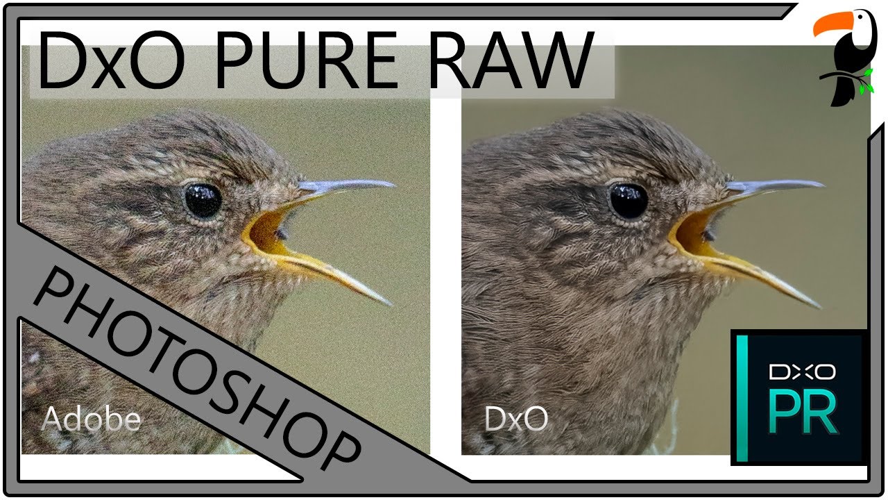 Stop Using Adobe to Process your RAW files - DxO Pure RAW is Amazing!