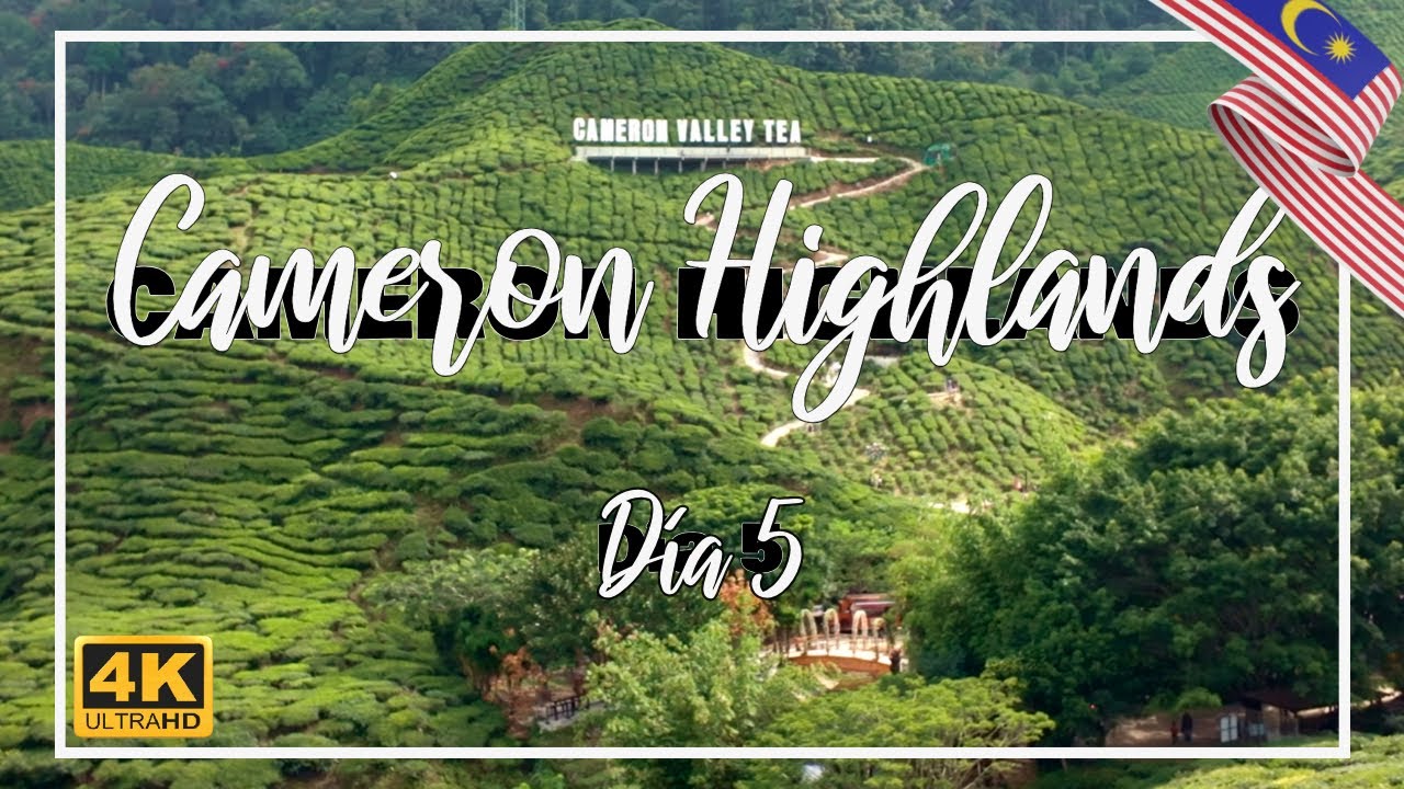 Qué ver en CAMERON HIGHLANDS - MALASIA | VLOG día 5 | Guía Malasia | 17 días en MALASIA | 4K |