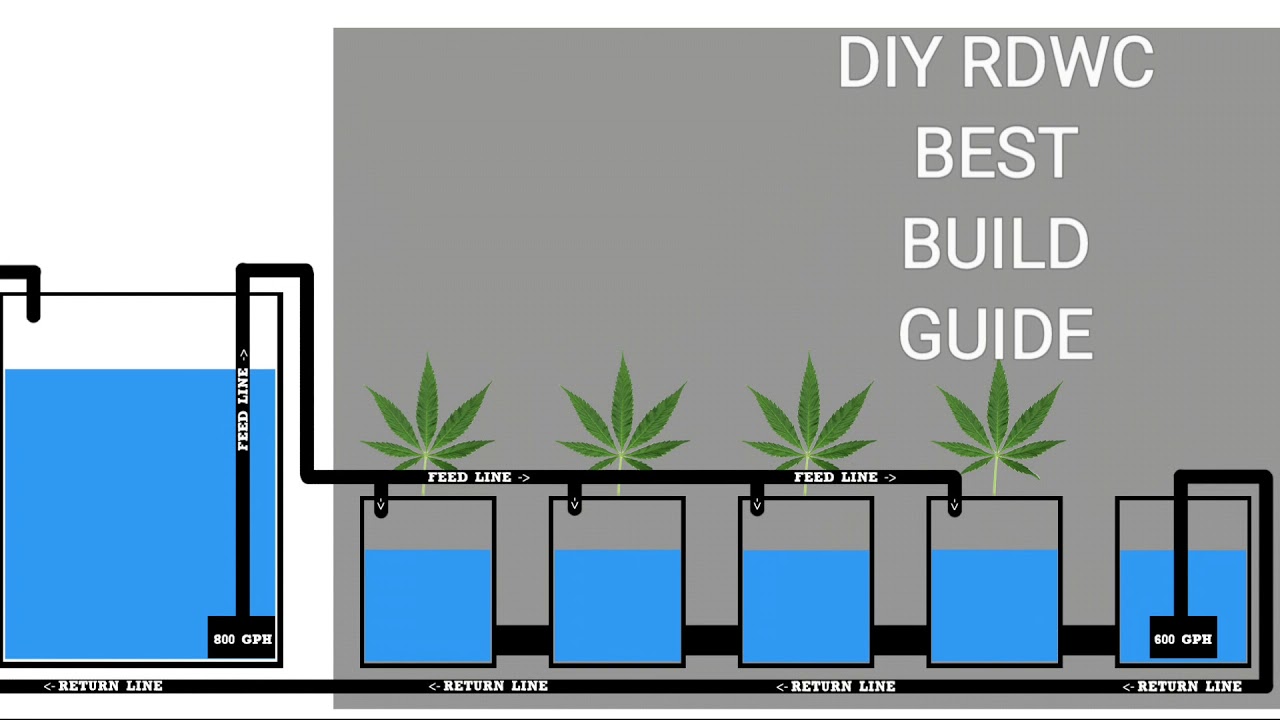 BEST DIY RDWC Build Guide coming soon subscribe!!!