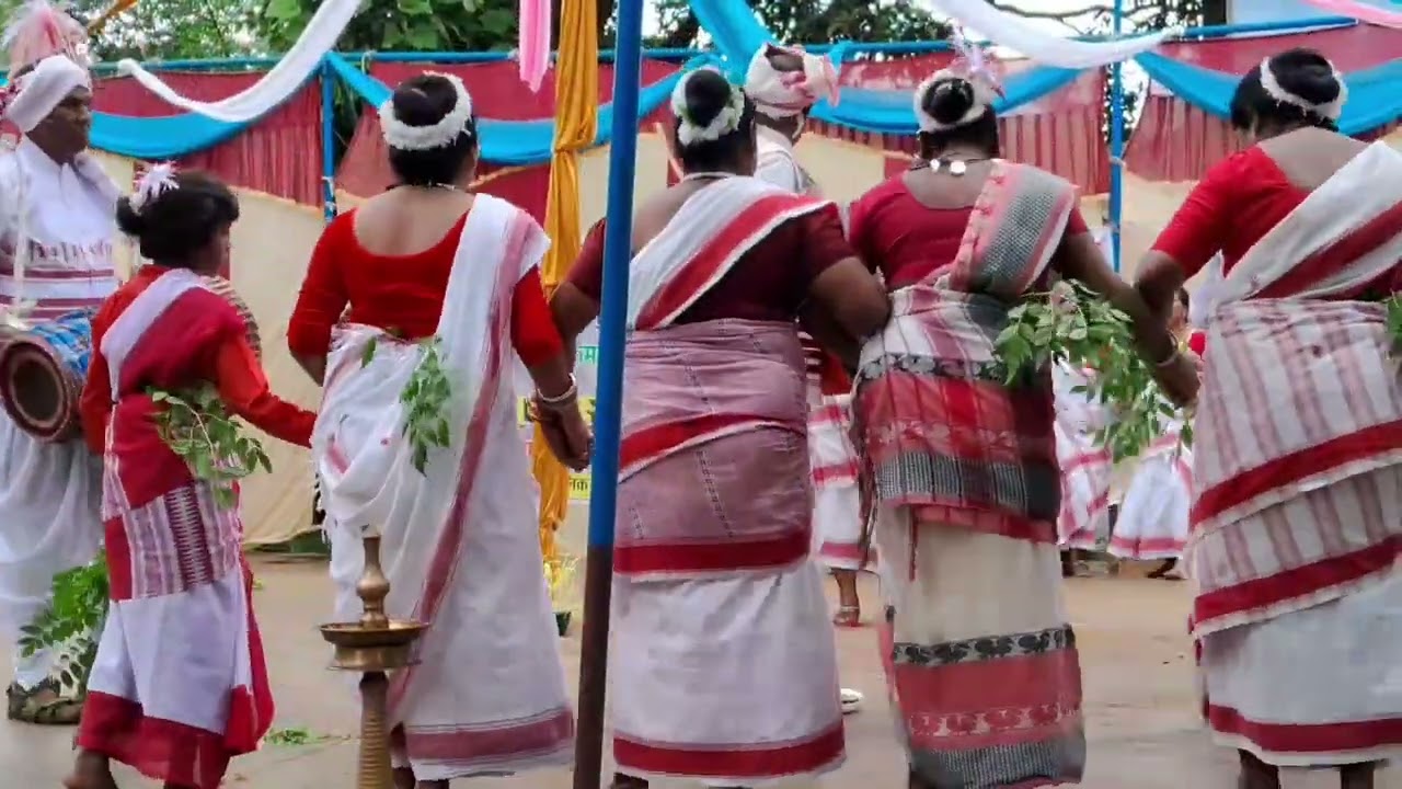 भटगांव के द्वारा करमा नृत्य  प्रतापपुर में