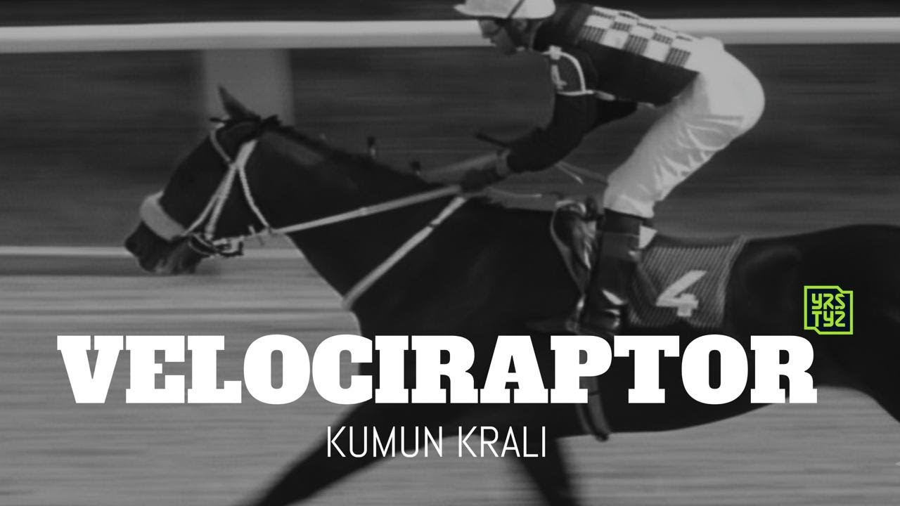 Kumun Kralı: VELOCIRAPTOR