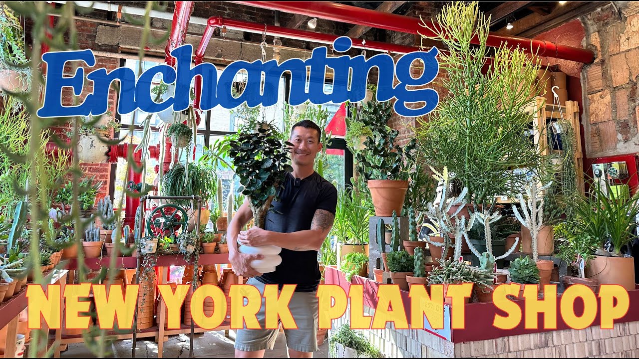 Plant Shop in Brooklyn 🇺🇸 Brimming With Passion & Creativity + Plant Recommendations for Apartments