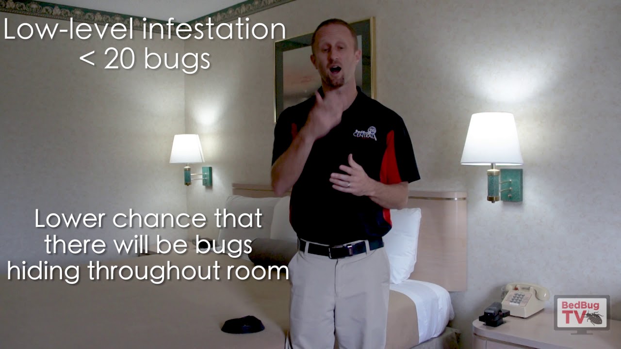 Proper Bed Bug Preparation for Public Housing Settings