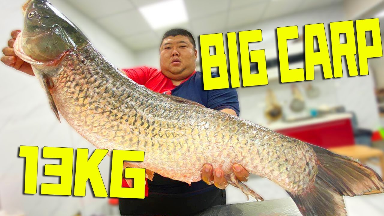 THE 13KG BIG GRASS CARP IS TOO RARE! 250kg fat man eat stewed fish, it is delicious! #Fat Monkey