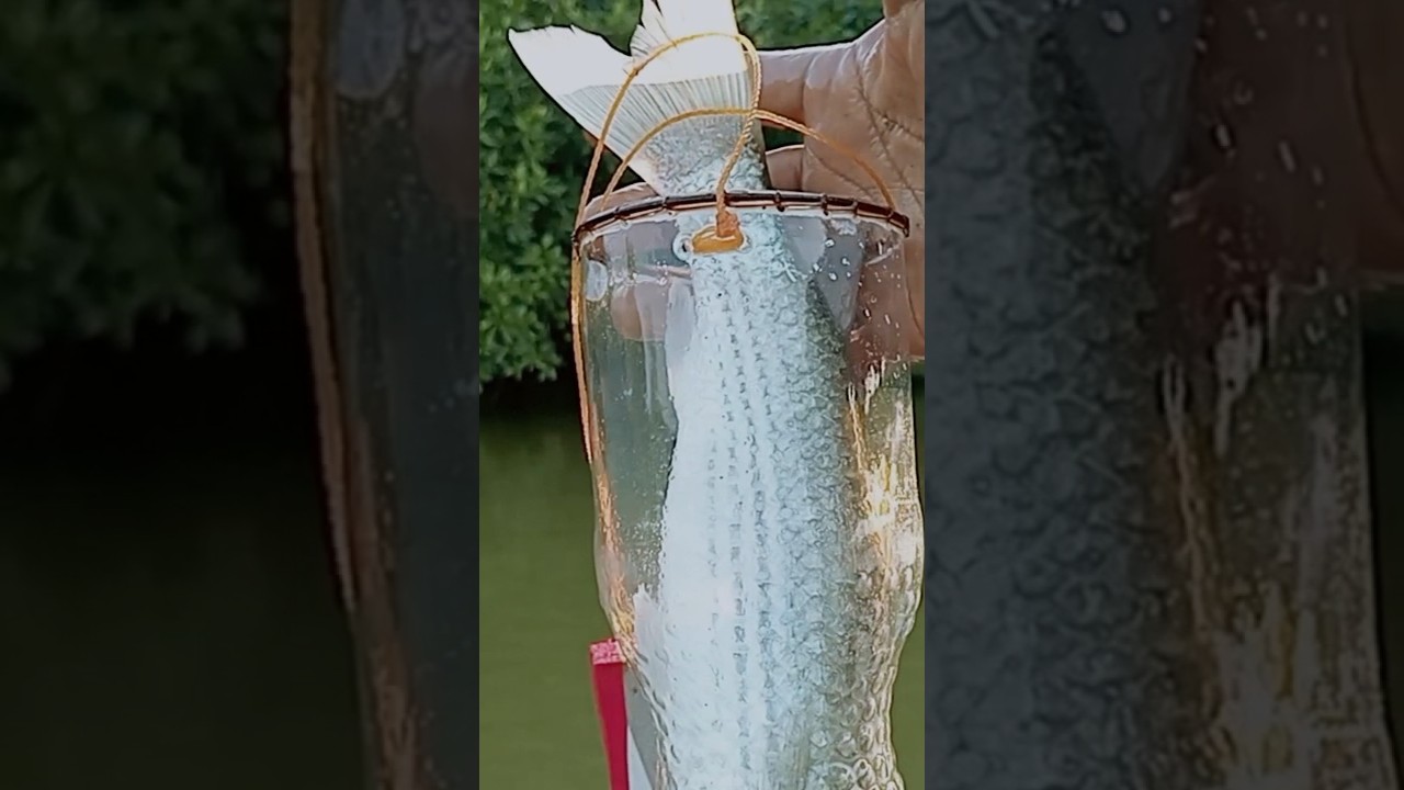 MANCING IKAN BELANAK PAKAI BOTOL BEKAS