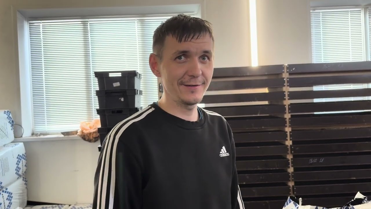 Все Как Есть Дендробена