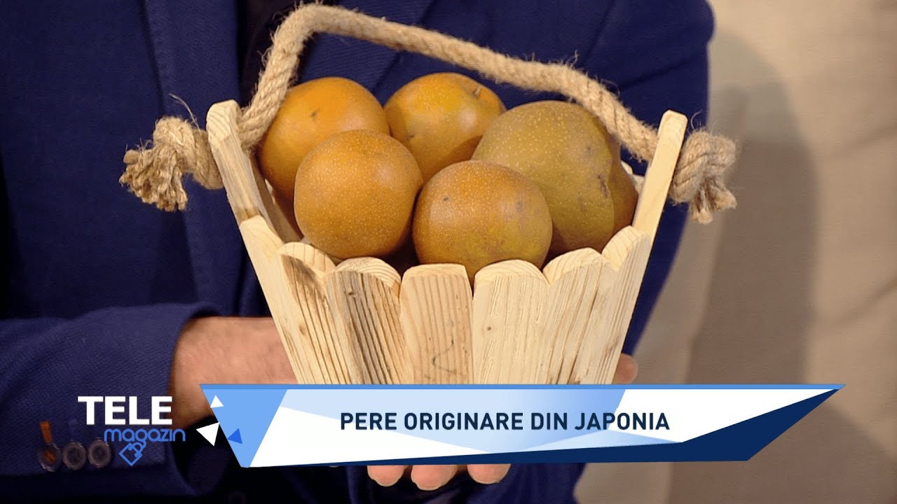 Ce sunt perele japoneze şi cum cresc la Briceni