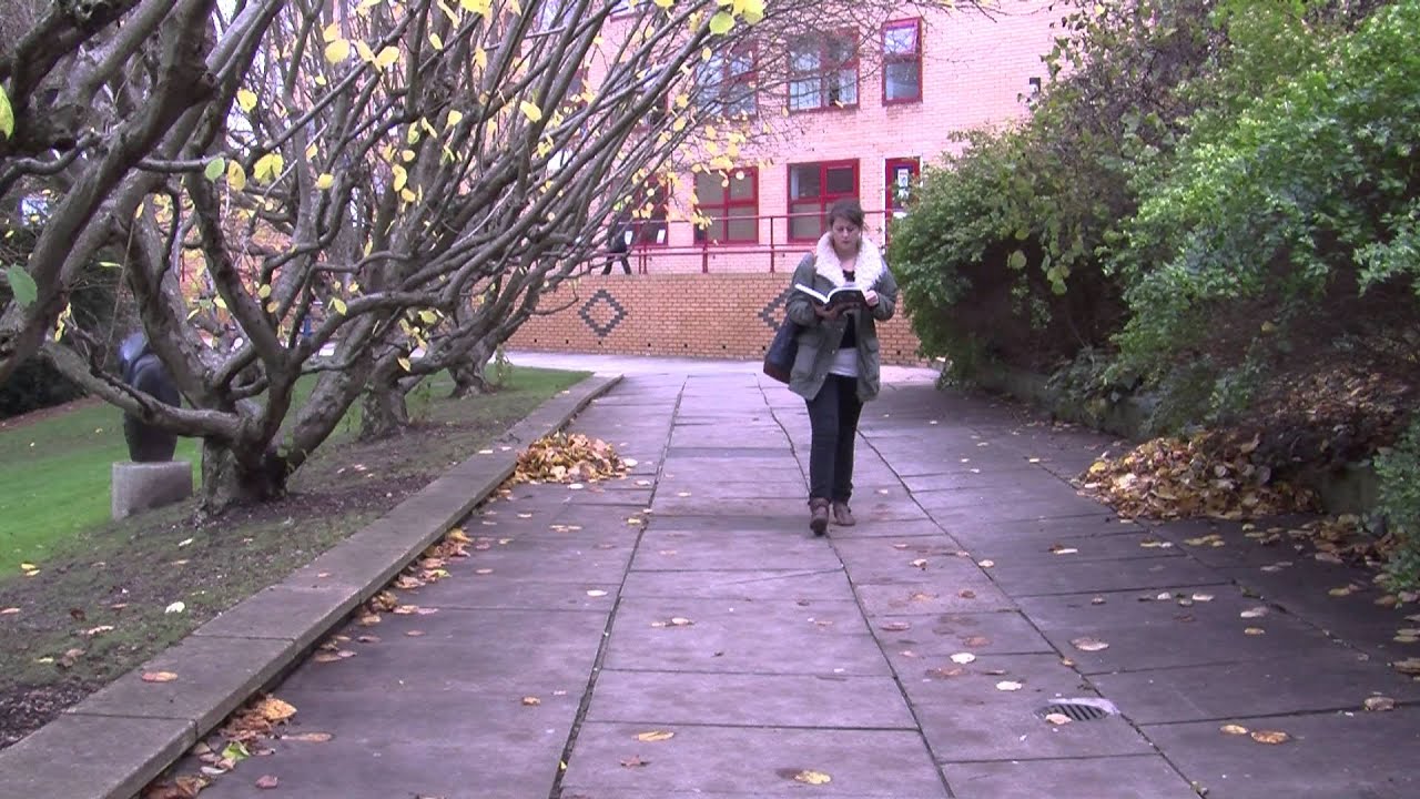 Portrait of a Workaholic Student, Short-Film