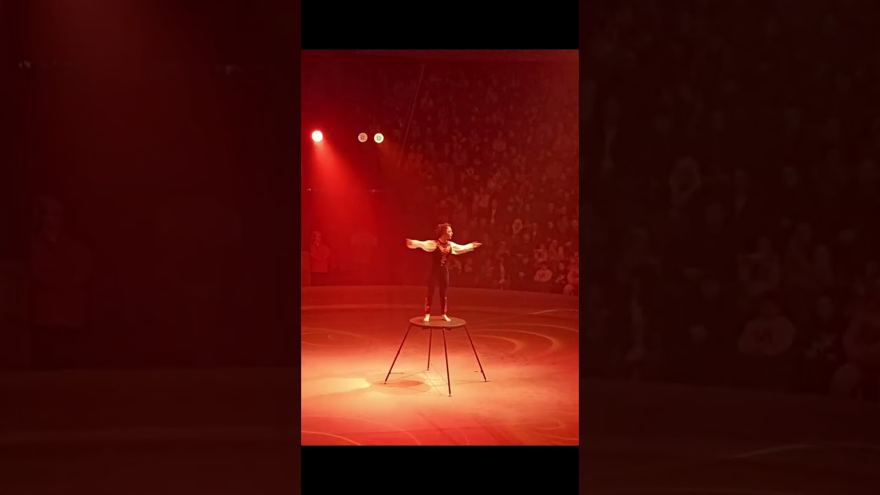 Epic Circus Gymnastics Performance | Non-Aerial Acrobatics Show#circus#gymnast#viralvideo 