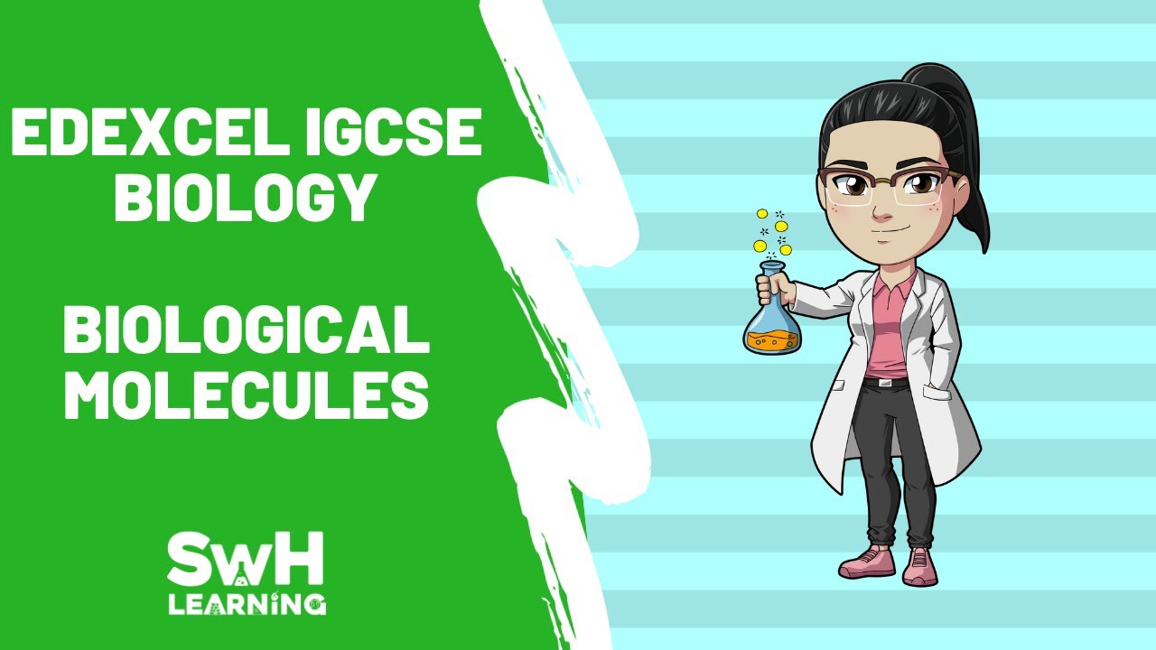 Biological Molecules | Edexcel IGCSE Biology | Includes Exam Questions & Answers