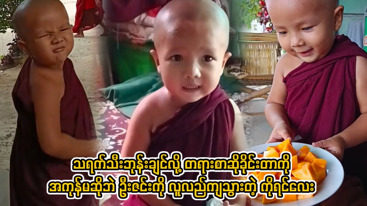 သရက်သီးဘုန်းချင်လို့ တရားစာဆိုခိုင်းတာကို အကုန်မဆိုဘဲ ဦးဇင်းကို လူလည်ကျသွားတဲ့ ကိုရင်လေး 