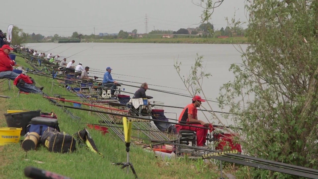 Italian Fishing TV - Fishing TV - C.I.S. di Pesca al colpo Seconda Prova