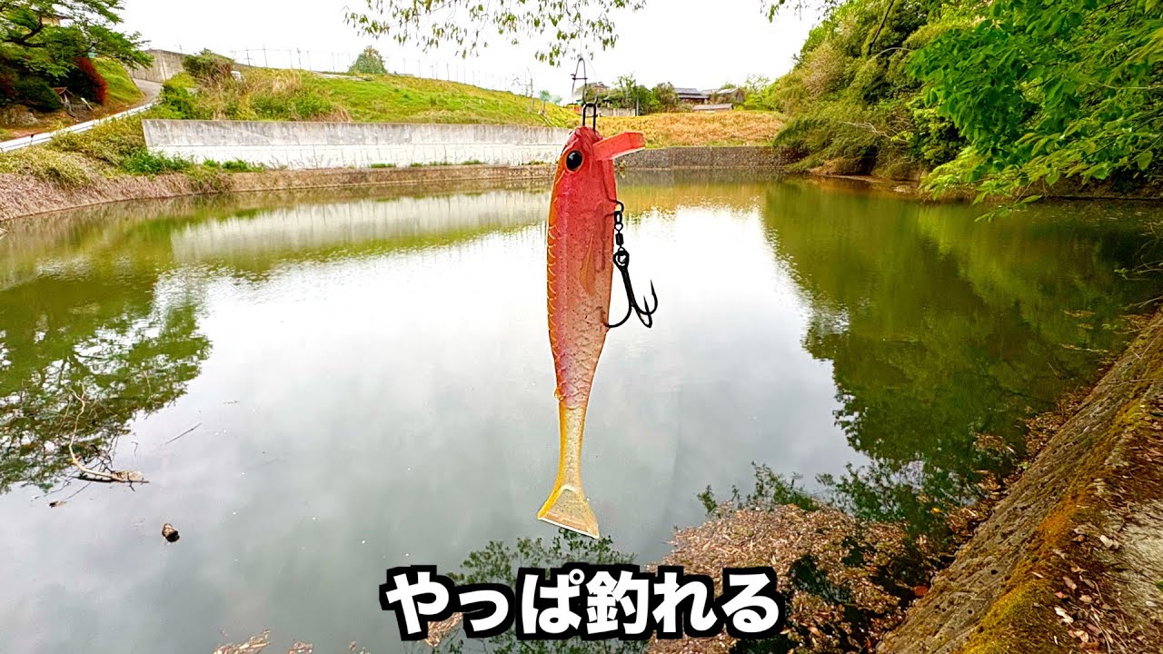 【春のデカバス祭り】衝撃バイト連発！捕食シーンが1番おもろいスイムベイトがこれ