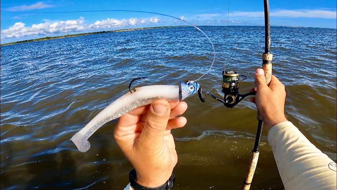Jigging Bottom For BIG Fish! (Swimbaits + Live Crabs)