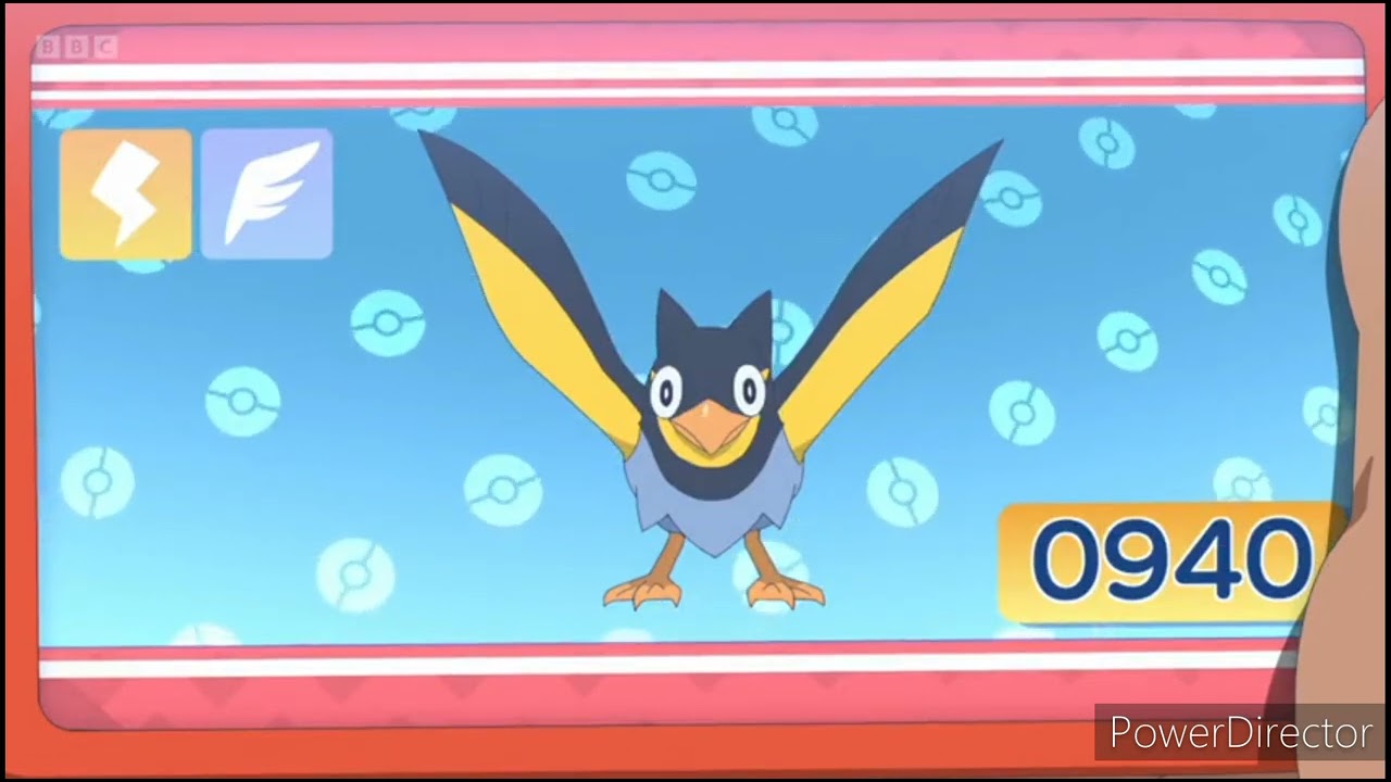 Wattrel Pok&eacute;dex Entry..wmv