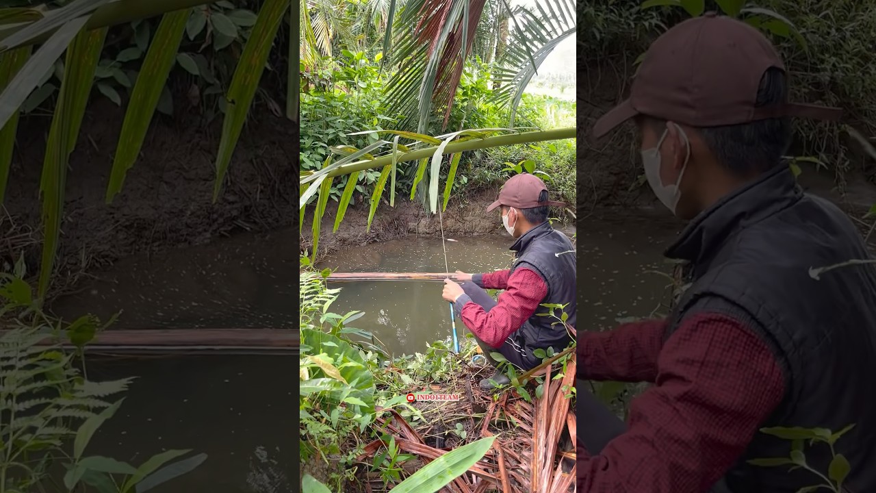 Disaranin mancing di tengah hutan rumpiah ikan jaer warna Putih 😱?