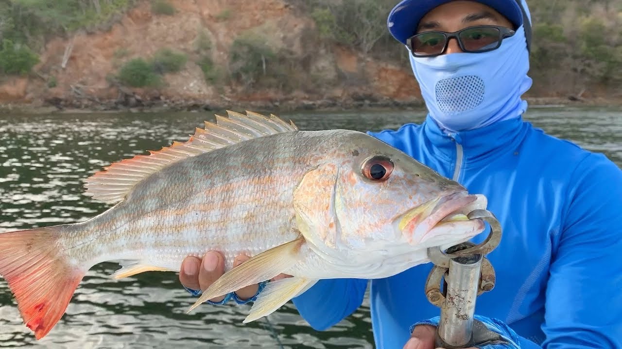 Catching new species of fish Part 1