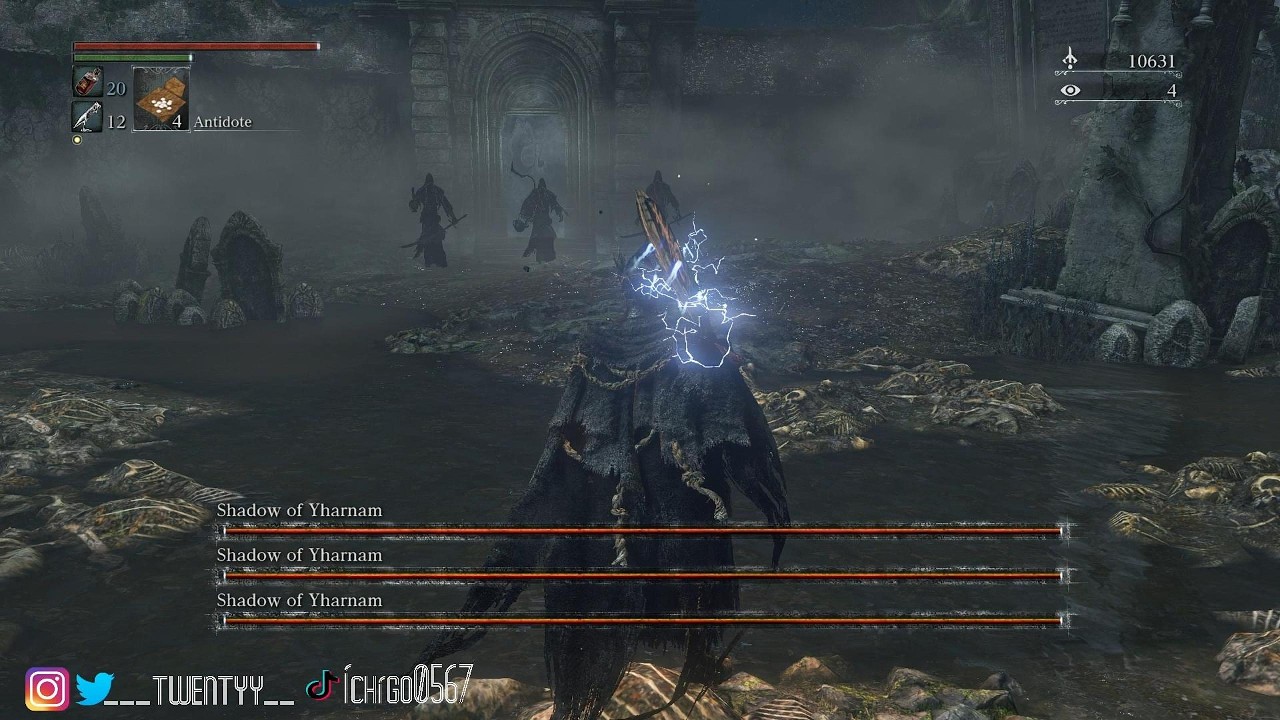 Bloodborne: Shadow of Yharnam 3v3 fight 1440p 60 FPS