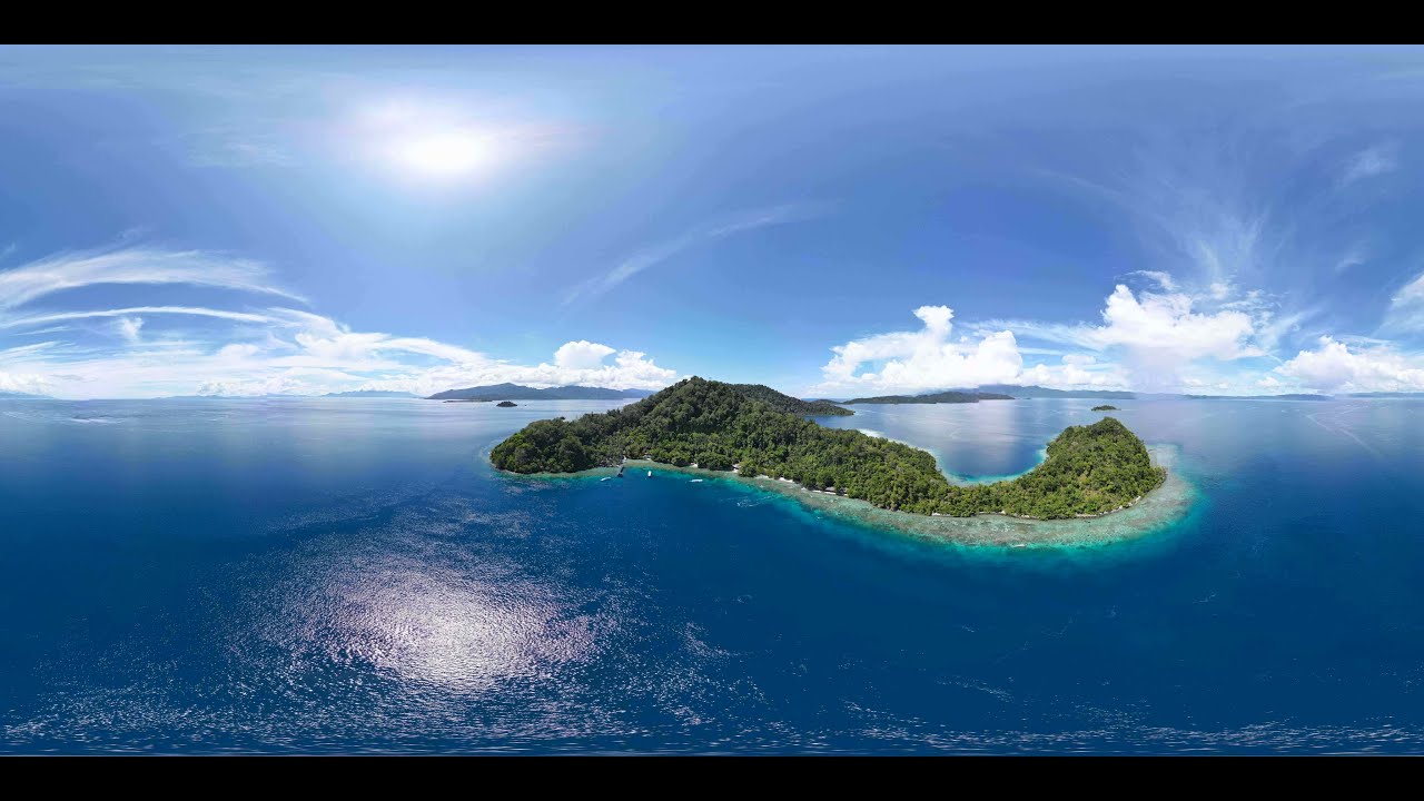Sali Bay Resort   Underwater Paradise South Halmahera