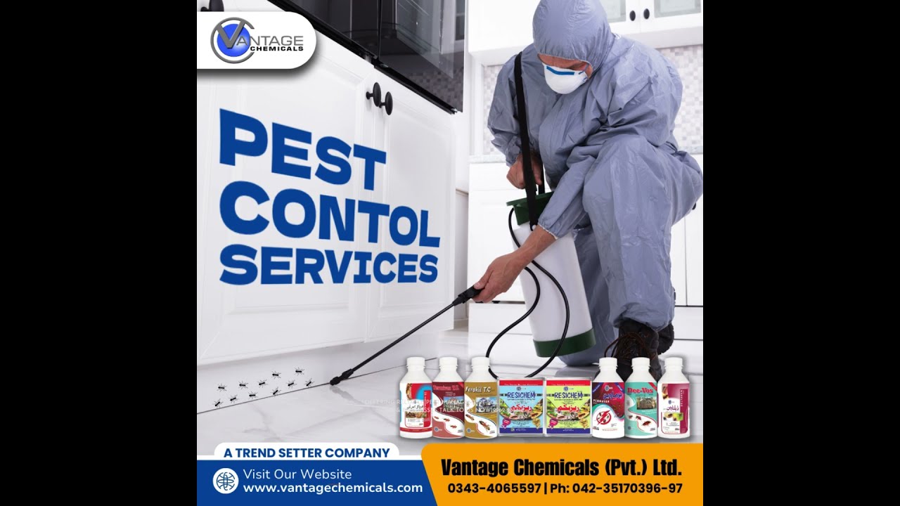 Pest Control Services | Effective Pest Control for Home & Business