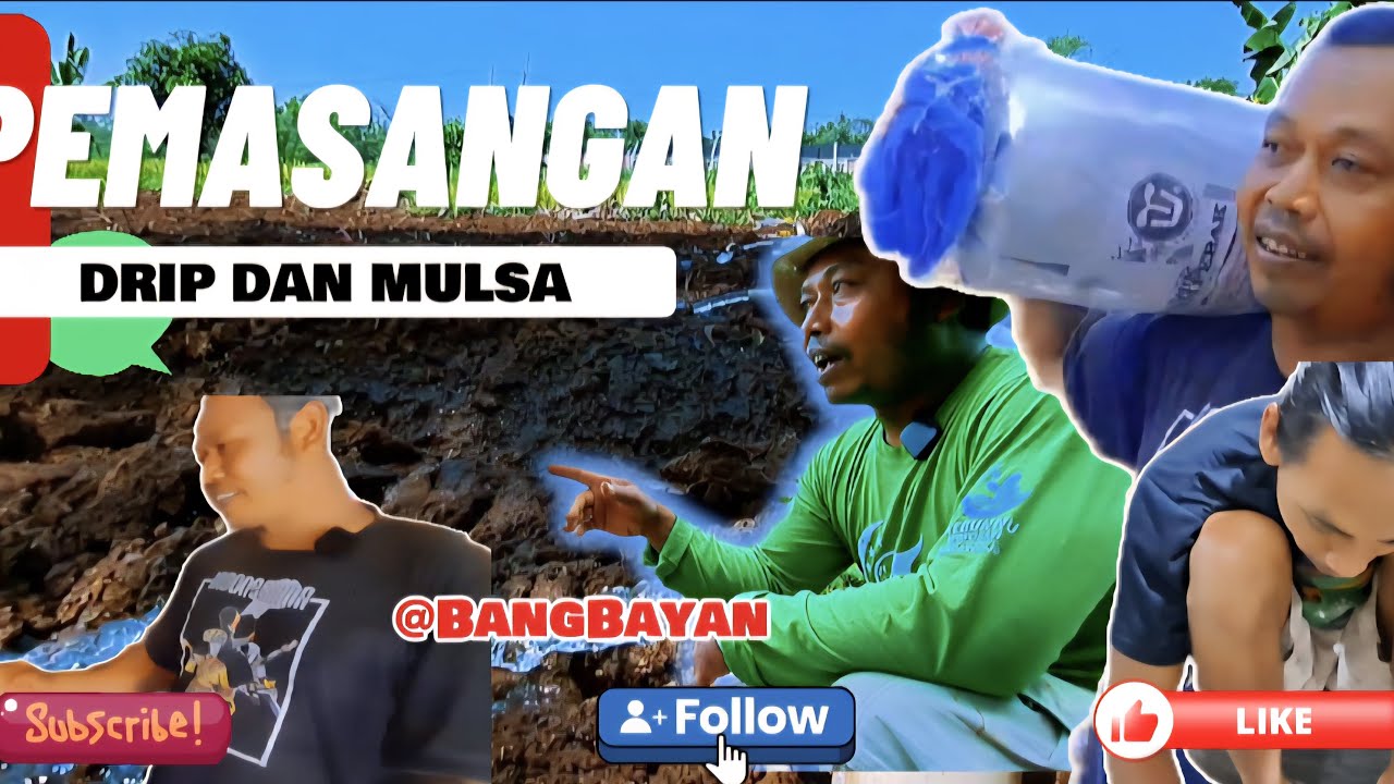 TEKNIK PEMASANGAN MULSA@NUCARE-u2g #karanganyar #kementrianpertanian #perdaganganinternasional
