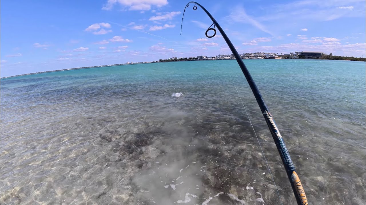 Fishing Florida Flats for Sheepshead and Trout!!